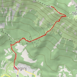 thumbnail for Puntarčič