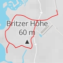 thumbnail for Amsel - Berlin