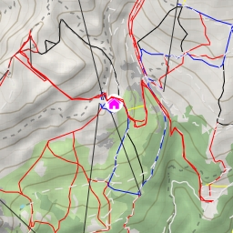 thumbnail for Bellalui