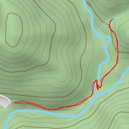 thumbnail for Сванидзе