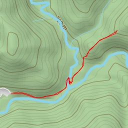 thumbnail for опята