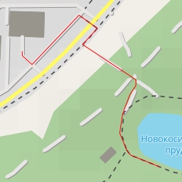 thumbnail for Новокосинский пруд