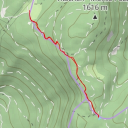 thumbnail for 1 - Totenmoos - 1 - Torbiera Totes