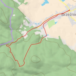 thumbnail for singletrack - singletrack