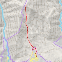 thumbnail for چین کلاغ