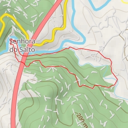 thumbnail for Rua Central de Alvre - Paredes