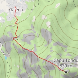 thumbnail for Capu Tondu