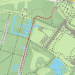 thumbnail for Сойкинская аллея