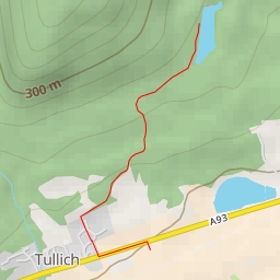 thumbnail for Tomnakeist