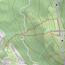 thumbnail for 肥豬石