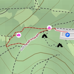 thumbnail for Rauhe Platte