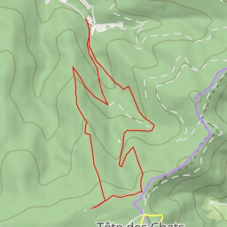 thumbnail for Route Forestière du Pré des Raves - Route Forestière du Pré des Raves