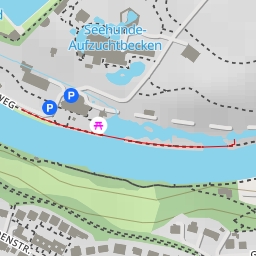 thumbnail for Eurasischer Fischotter - Tierparkweg - Bern