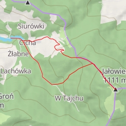 thumbnail for Jałowiec