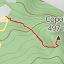 thumbnail for Copolia