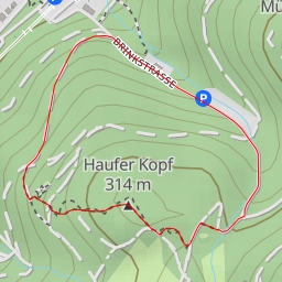 thumbnail for Haufer Kopf