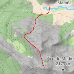 thumbnail for Cervunal