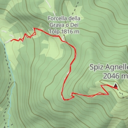 thumbnail for Spiz Agnellessa