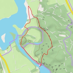 thumbnail for Bachtelsee