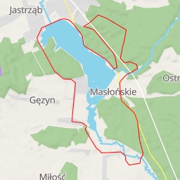 thumbnail for Leśna