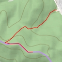 thumbnail for Jedliniec