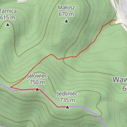 thumbnail for Jedliniec