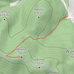 thumbnail for Jałowiec