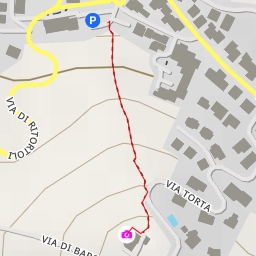 thumbnail for Baroncelli