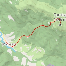 thumbnail for TARNICA