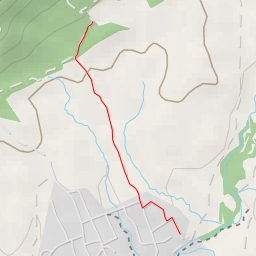 thumbnail for El Pellejo