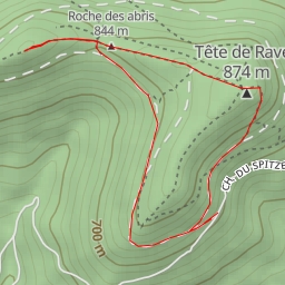 thumbnail for Tête du 10ème B.C.P.