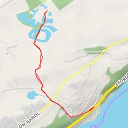 thumbnail for Llyn Y Gors - Lon Ganol