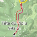 thumbnail for Tête du Violu