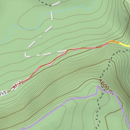 thumbnail for Allée des Cryptomérias