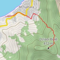 thumbnail for Dziani Bolé