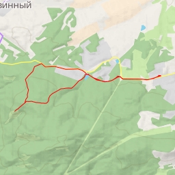 thumbnail for AI - 5-я видовка лыжни ГТО