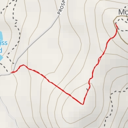 thumbnail for AI - Bog Bridge - Litchfield