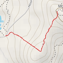 thumbnail for AI - Bog Bridge - Litchfield