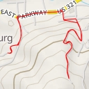 thumbnail for AI - Treetop Skywalk - Gatlinburg