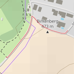 thumbnail for AI - Birkenberg
