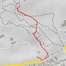 thumbnail for AI - Giant Pandas