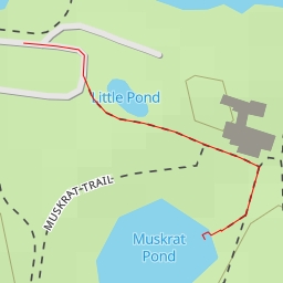 thumbnail for AI - Muskrat Pond