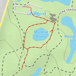 thumbnail for AI - Pond Loop - Bloomington