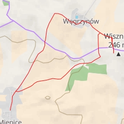 thumbnail for AI - Gmina Wisznia Mała - Piotrkowiczki