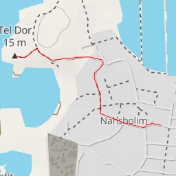 thumbnail for AI - תל דור