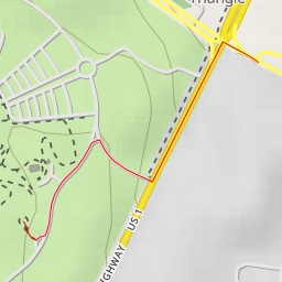 thumbnail for AI - Timothy T. Day Overlook