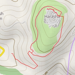 thumbnail for AI - תצפית גג הארץ