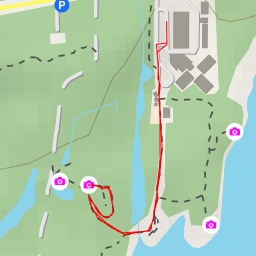 thumbnail for AI - Maplewood Lookout