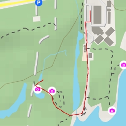 thumbnail for AI - Dragonfly Pond