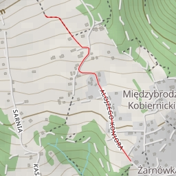 thumbnail for AI - Międzybrodzie Bialskie